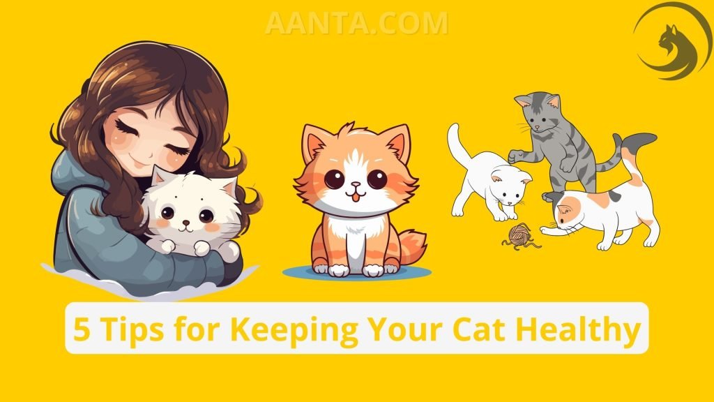 5 Essential Tips for Keeping Your Cat Healthy and Happy