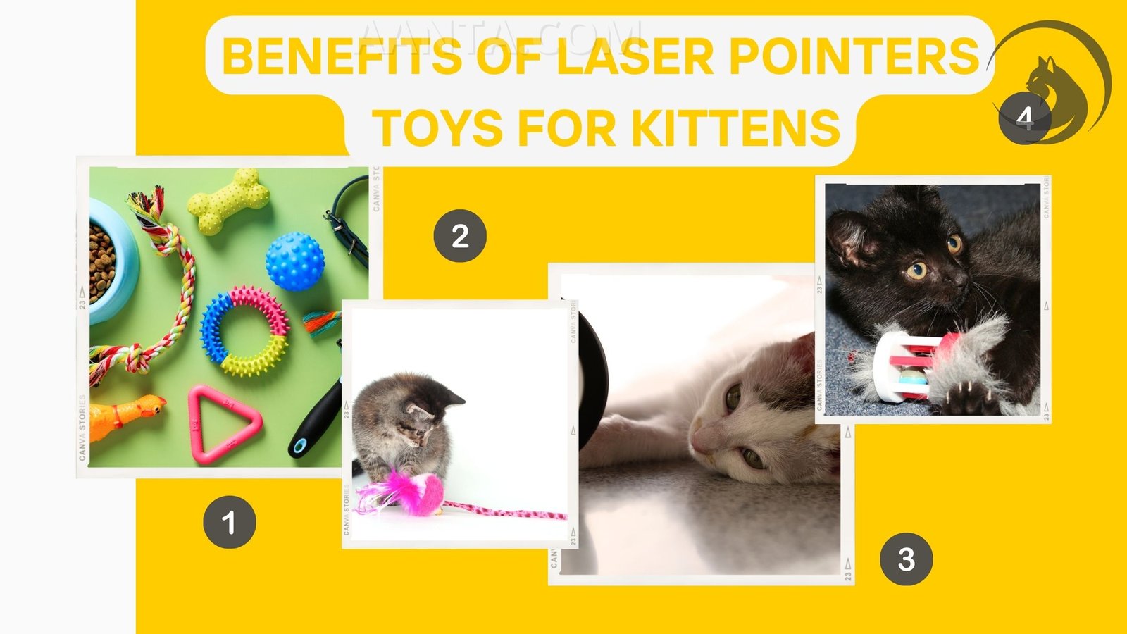 Benefits of Laser Pointers Toys for Kittens