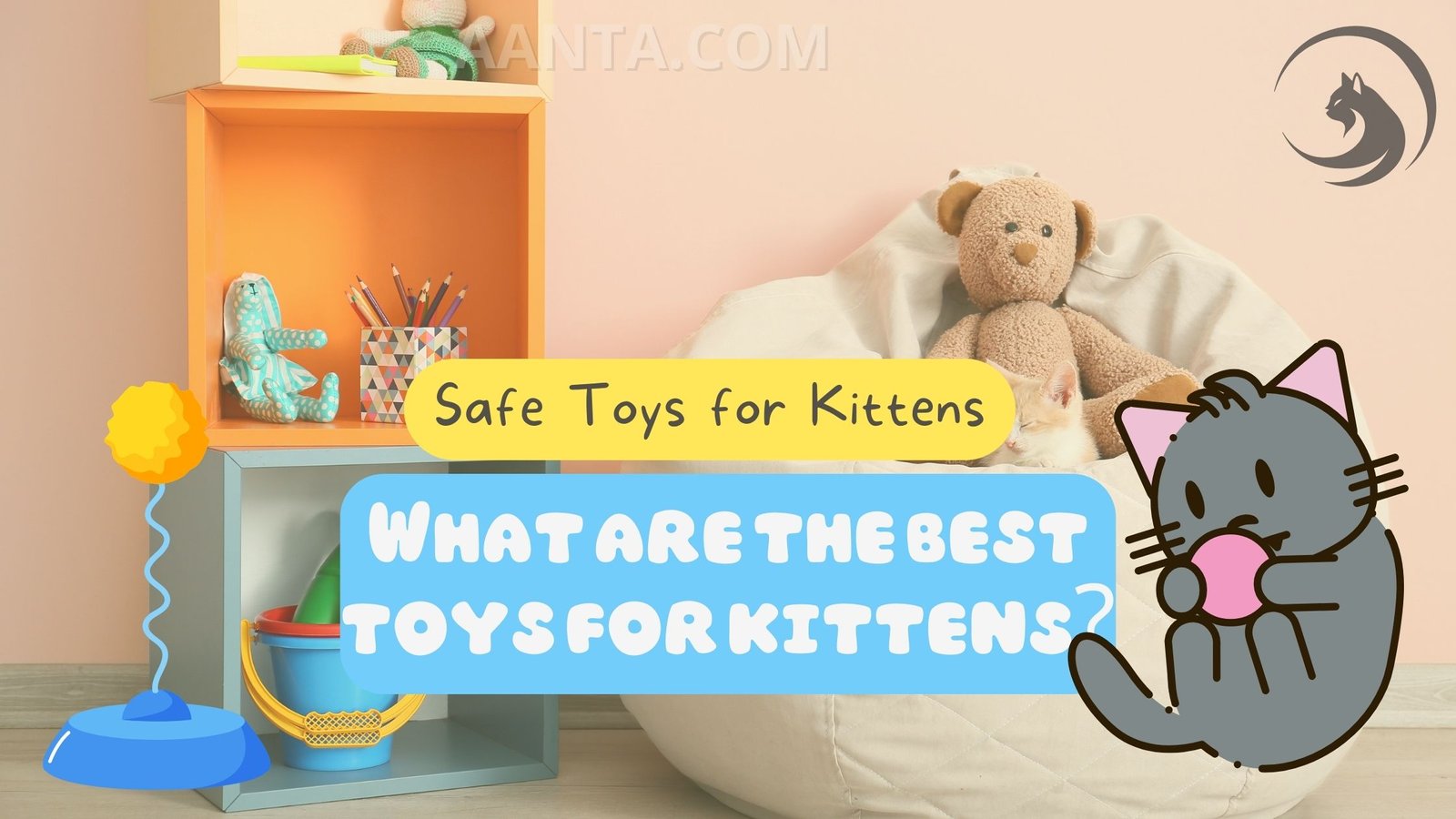 What are the best toys for kittens