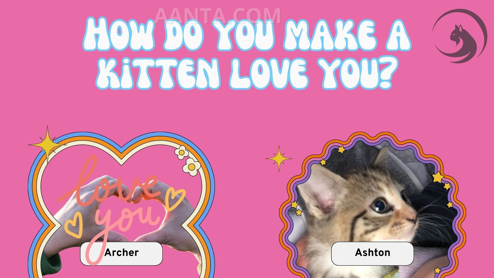 How do you make a kitten love you