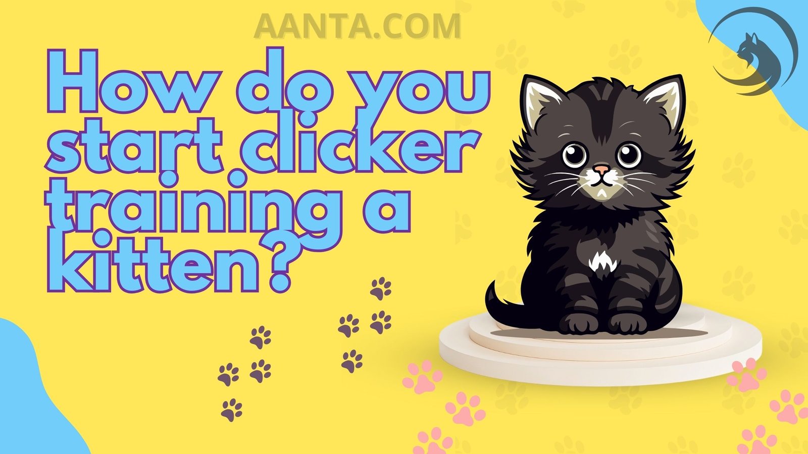 How do you start clicker training a kitten