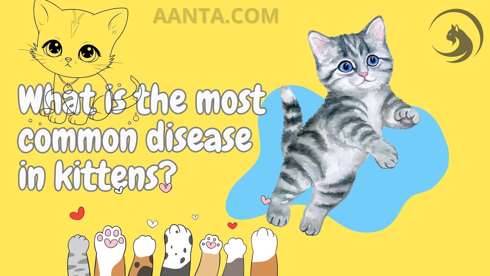 What is the most common disease in kittens